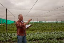 Seitenansicht eines leitenden kaukasischen Bauern, der die Aufzeichnung der Pflanzen auf Klemmbrett im Gewächshaus aufrechterhält — Stockfoto