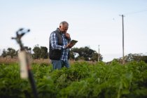 Vista frontal del reflexivo granjero masculino caucásico mayor usando tableta digital mientras está de pie en el campo de rábano en la granja - foto de stock