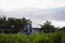 Vista frontale di senior agricoltore maschio caucasico in piedi nel campo di ravanello presso l'azienda agricola — Foto stock