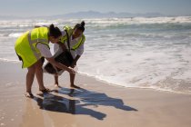 Вид спереду змішаної раси жіночі добровольці прибирають пляж в сонячний день — стокове фото