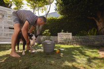 Vista lateral do homem caucasiano limpando seu cão no jardim — Fotografia de Stock