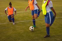 Side view of diverse female soccer players doing warm-up exercises at sports field during tournament. — Stock Photo
