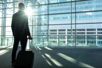Вид ззаду бізнесмена з сумкою на візку, що стоїть в сучасній офісній будівлі — стокове фото