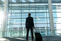 Вид ззаду бізнесмена з сумкою на візку, що стоїть в сучасній офісній будівлі — стокове фото