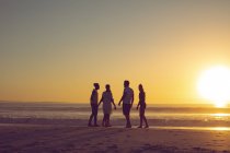 Vista posteriore del gruppo di amici diversi che si divertono in spiaggia durante il tramonto — Foto stock