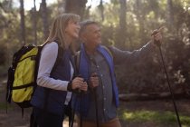 Side view close up of a mature Caucasian woman and man wearing backpacks and using Nordic walking sticks, stopping on a trail to admire the view and pointing to the distance during a hike. — Stock Photo
