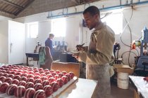Vista lateral no meio de um jovem afro-americano segurando uma prancheta e escrevendo enquanto ele verifica fileiras de bolas de críquete no final da linha de produção em uma fábrica de equipamentos esportivos . — Fotografia de Stock