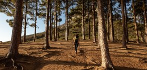 Vista posteriore di una donna caucasica matura che indossa uno zaino e utilizza bastoni da nordic walking, passeggiando attraverso una foresta durante un'escursione . — Foto stock