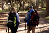 Rear view close up of a mature Caucasian woman and man wearing backpacks and using Nordic walking sticks walking on a trail through a forest during a hike — Stock Photo