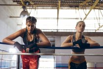 Afrikanische amerikanische Boxerinnen, die sich an Seile lehnen und im Boxring des Boxclubs in die Kamera schauen. Starke Kämpferin im harten Boxtraining. — Stockfoto