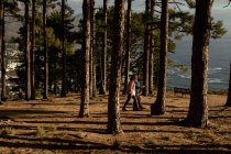 Вид сбоку на взрослую кавказскую женщину и мужчину, идущих вместе через лес к морю во время похода — стоковое фото