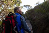 Rear view close up of a mature Caucasian man wearing a backpack looking up at the scenery while walking up hill on a trail during a hike — Stock Photo