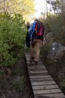 Rückansicht eines reifen kaukasischen Mannes und einer Frau mit Rucksäcken und Nordic-Walking-Stöcken, die während einer Wanderung im Gänsemarsch den Berg hinauf wandern — Stockfoto