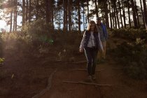 Vista frontale di una donna caucasica matura e uomo che indossa zaini che camminano lungo un sentiero forestale durante un'escursione, retroilluminato dalla luce del sole — Foto stock