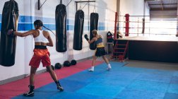 Pugili afroamericani che praticano pugilato nel club di boxe. Forte combattente femminile in palestra di pugilato allenamento duro . — Foto stock