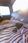 Close up of sunglasses and camera on the seat of a pick-up truck during a road trip, back lit by sunlight — Stock Photo