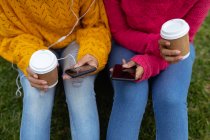 Elevada sección media de dos hermanas usando sus teléfonos inteligentes y sosteniendo cafés para llevar, sentadas juntas en la hierba en un parque - foto de stock