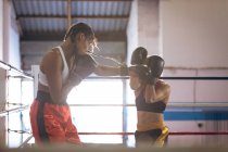 Two female boxers fighting in boxing ring at fitness center. Strong female fighter in boxing gym training hard. — Stock Photo