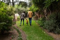 Visão traseira de um jovem pai e mãe caucasianos de mãos dadas com seu bebê e andando em um jardim — Fotografia de Stock