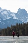 Visão traseira do jovem casal caucasiano patinando juntos enquanto segurando a mão na paisagem nevada natural — Fotografia de Stock