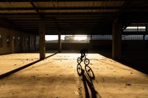 Seitenansicht eines jungen kaukasischen Mannes, der ein BMX-Fahrrad fährt und in einer verlassenen Lagerhalle Tricks macht, im Gegenlicht der Sonne — Stockfoto