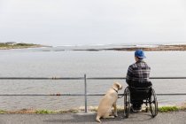 Вид сзади на молодого кавказца в инвалидном кресле, гуляющего с собакой у моря, любующегося видом — стоковое фото