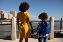 Rear view of a young mixed race woman and her pre-teen son enjoying time together by the sea, holding hands and admiring the view on a sunny day — Stock Photo