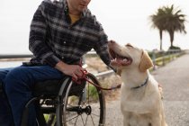 Вид спереду крупним планом молодого Кавказького чоловіка в інвалідному візку приймаючи прогулянку зі своєю собакою в сільській місцевості — стокове фото