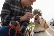 Вид спереду крупним планом молодого Кавказького чоловіка в інвалідному візку приймаючи прогулянку зі своєю собакою в сільській місцевості, даючи його собаку лікувати — стокове фото