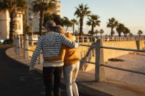 Visão traseira de um homem e uma mulher caucasianos maduros abraçando o mar ao pôr do sol, com palmeiras e edifícios no fundo — Fotografia de Stock