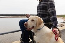 Вид збоку крупним планом молодого Кавказького чоловіка в інвалідному візку приймаючи прогулянку зі своєю собакою в сільській місцевості біля моря — стокове фото