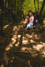 Hombre maduro examinando una raíz de árbol en el bosque - foto de stock