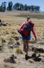 Vista trasera del excursionista femenino con mochila caminando en el campo durante el día soleado - foto de stock