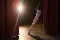 Anmutige Ballerina steht en pointe auf der Bühne — Stockfoto