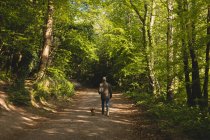 Вид ззаду чоловіка, що йде з собакою в лісі на сонячний день — стокове фото