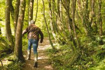 Rückansicht eines Mannes, der an einem sonnigen Tag im Wald läuft — Stockfoto