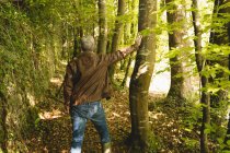 Вид ззаду вдумливого чоловіка, що стоїть у лісі — стокове фото