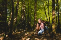 Зрелый мужчина осматривает корень дерева в лесу — стоковое фото