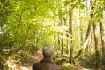 Rear view of man standing in forest — Stock Photo