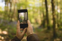 Hand of man clicking photos from mobile phone in forest — Stock Photo