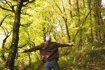 Вид ззаду чоловіка, що стоїть з обіймами, витягнутими в лісі в сонячний день — стокове фото