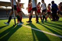 Low angle side view of a group of female Caucasian field hockey players, before a game, standing in a row, greeting the opponents, on a sunny day — Stock Photo