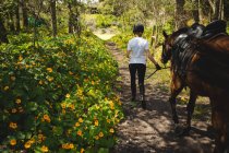 Veduta posteriore di una cavallerizza caucasica vestita con disinvoltura che conduce un cavallo di castagno lungo un sentiero attraverso un bosco durante una giornata di sole. — Foto stock