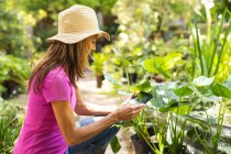 Une femme caucasienne portant un t-shirt rose et un chapeau de paille, profitant du temps dans un jardin ensoleillé, touchant les feuilles des plantes et utilisant un ordinateur tablette — Photo de stock