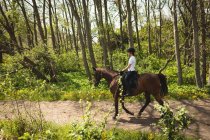 Vista laterale di una cavallerizza caucasica vestita con disinvoltura che hackera un cavallo di castagno su un sentiero attraverso una foresta in una giornata di sole. — Foto stock