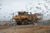 Vogelschwärme fliegen über Fahrzeuge, die arbeiten, räumen und Müll ausliefern, der sich auf einer Mülldeponie mit wolkenverhangenem Himmel im Hintergrund türmt. Globale Umweltfrage der Abfallentsorgung. — Stockfoto