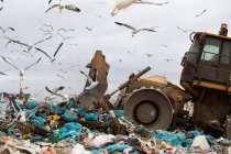 Зграя птахів, що літають над бульдозером, працює і розчищає сміття на звалищі, наповненому сміттям з похмурим похмурим небом на задньому плані. Глобальне екологічне питання утилізації відходів . — стокове фото