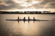 Seitenansicht eines Ruderteams von vier kaukasischen Frauen, die auf dem Fluss trainieren und bei Sonnenaufgang in einer Rennmuschel rudern, wobei sich das Sonnenlicht in den Wellen des Wassers im Vordergrund reflektiert — Stockfoto