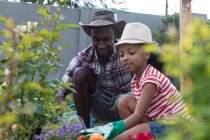 Afroamerikanerin und ihr Vater distanzieren sich zu Hause während der Quarantäne, verbringen an einem sonnigen Tag Zeit in ihrem Garten, pflanzen Blumen. — Stockfoto