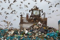 Troupeau d'oiseaux survolant le bulldozer en train de travailler et de déblayer des déchets empilés sur une décharge remplie de déchets avec un ciel couvert nuageux en arrière-plan. Enjeu environnemental mondial de l'élimination des déchets. — Photo de stock